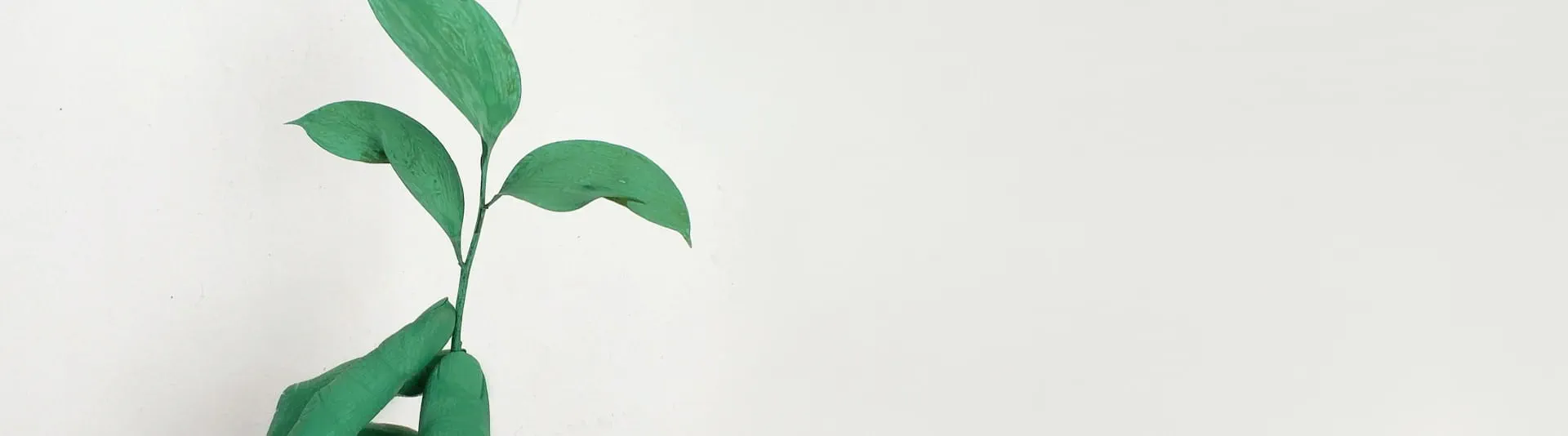 BANNER - SDG Article 1 BANNER - SDG Article 1