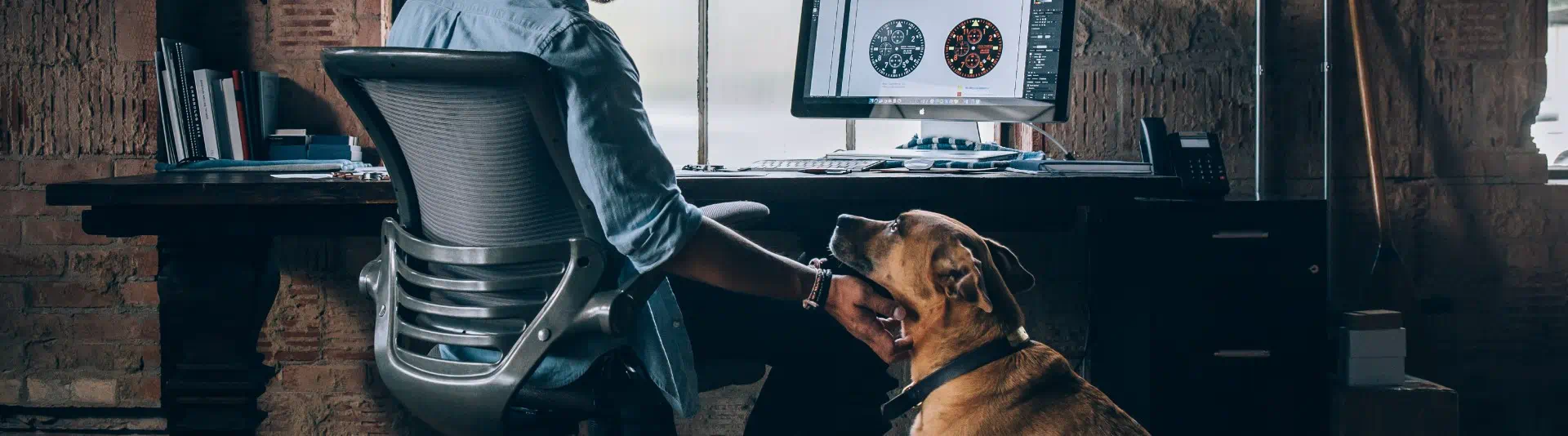 Pros and cons of having pets Pros and cons of having pets