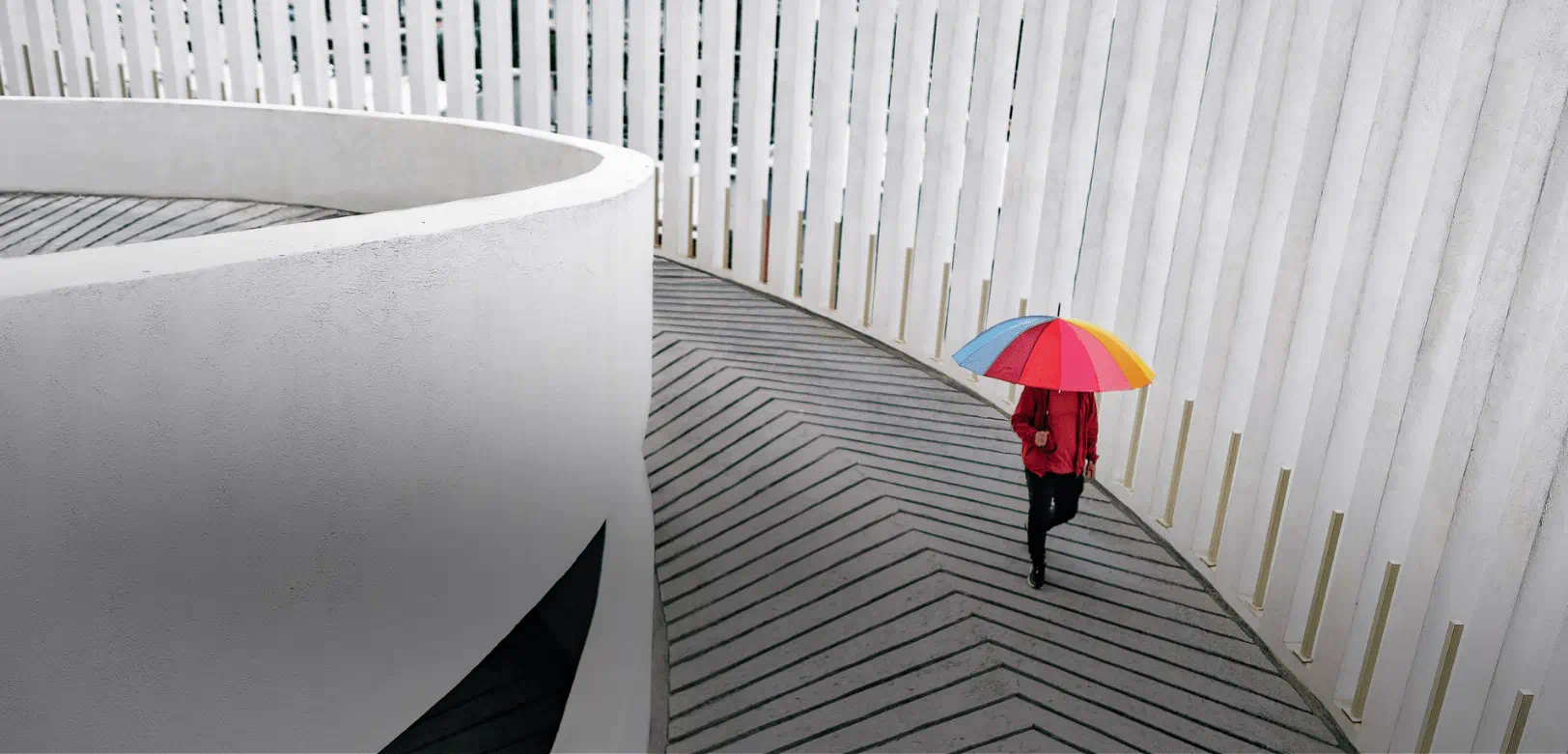 A single person holding a colorful umbrella walks along a curved pathway between white modern architectural walls. A single person holding a colorful umbrella walks along a curved pathway between white modern architectural walls.