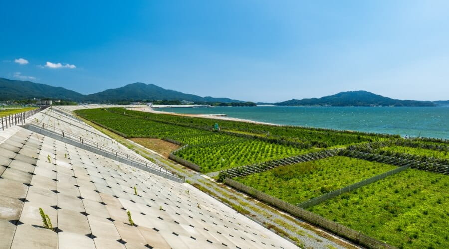 災害復興支援