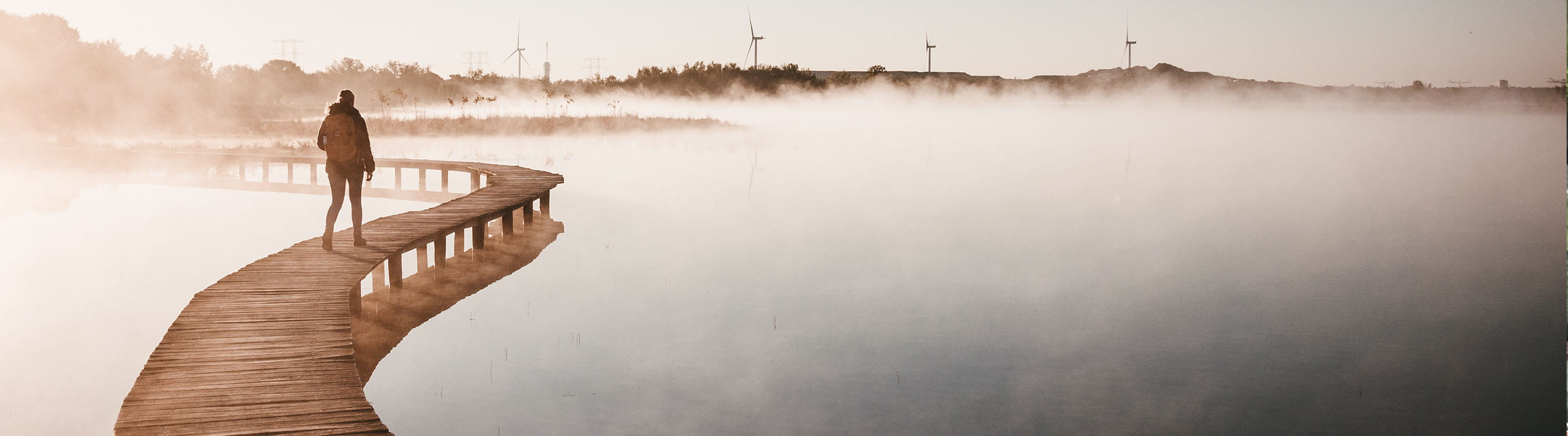 Article Landing page banner 17