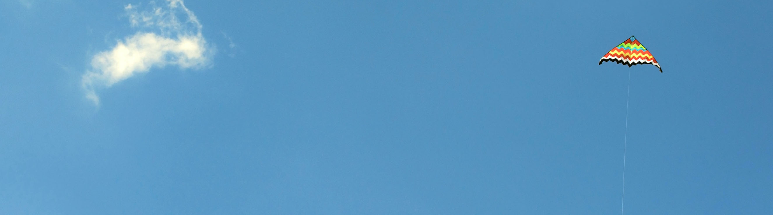 Article Landing page banner 35 Article Landing page banner 35