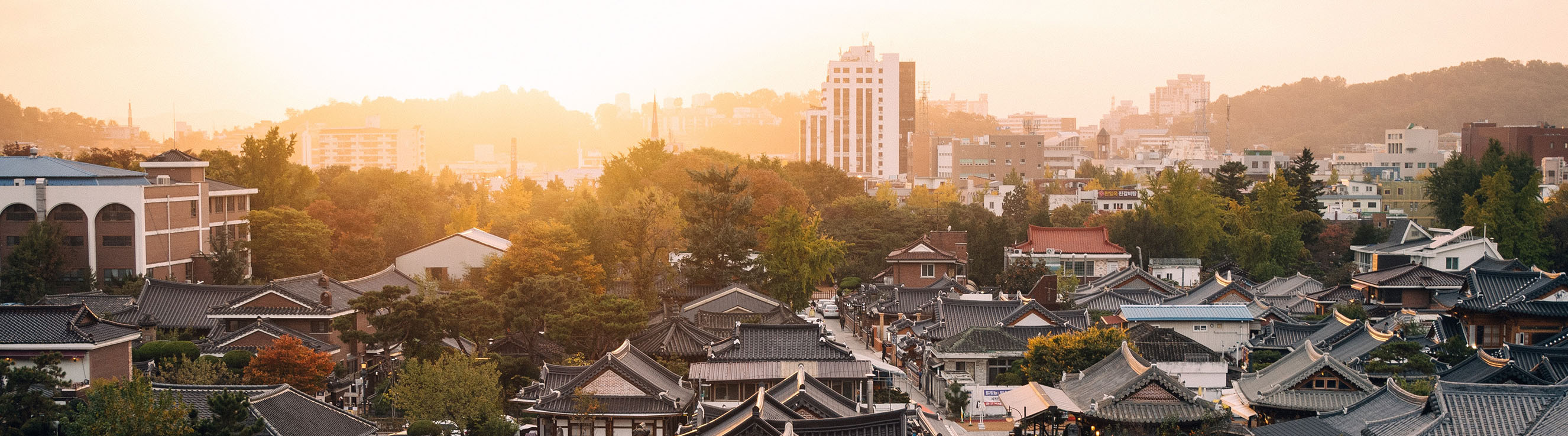 Article Landing page banner 7 Article Landing page banner 7