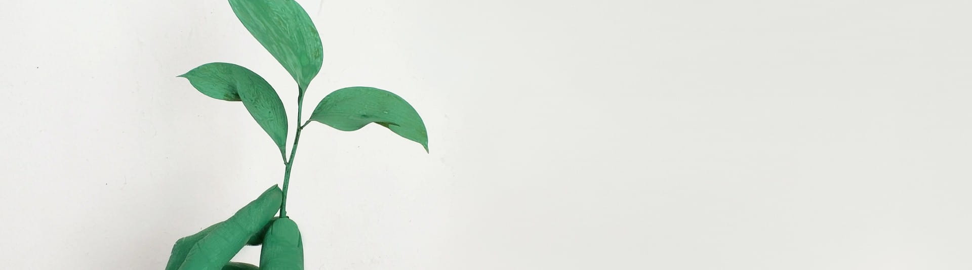 BANNER - SDG Article 1