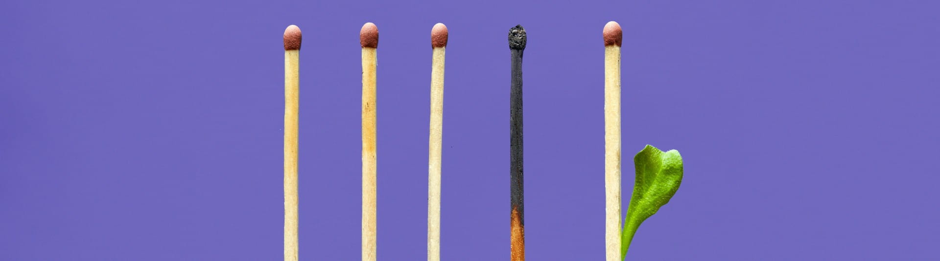 BANNER - Top 5 August 20