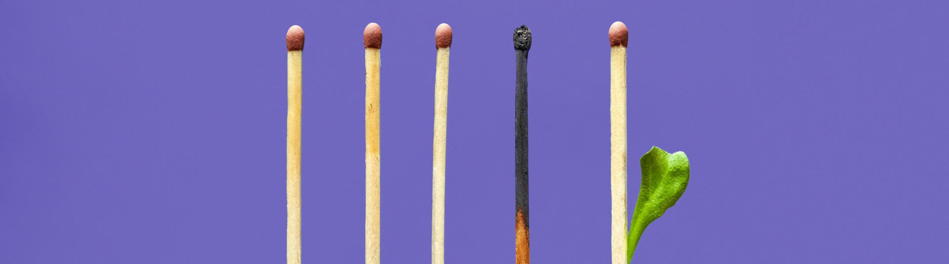 BANNER - Top 5 August 20 BANNER - Top 5 August 20