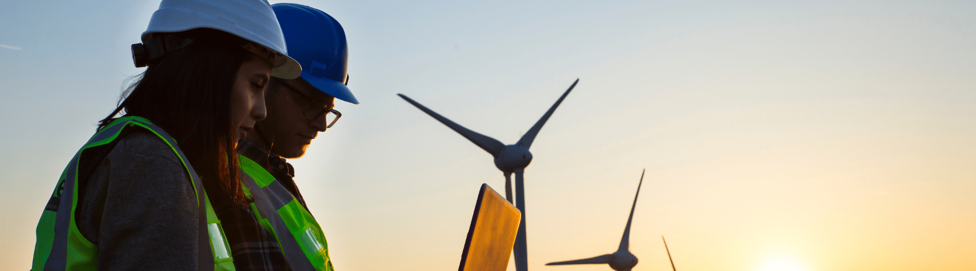 BANNER - Training for Green Jobs