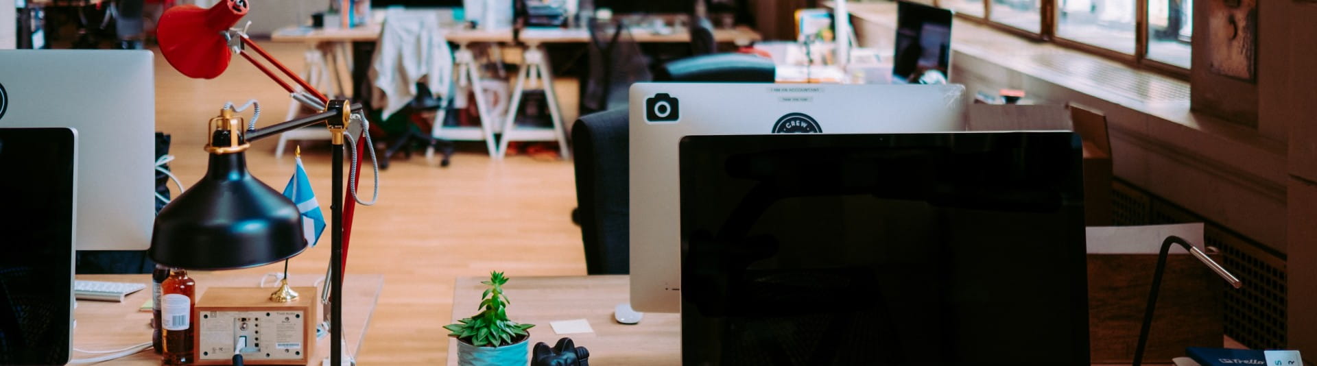 BANNER IMAGE - Annie Spratt via Unsplash