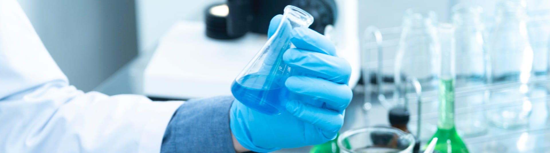 BANNER IMAGE - International Day Women in Science