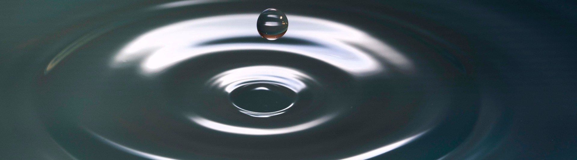 BANNER IMAGE - LHH on Career Transition Plans BANNER IMAGE - LHH on Career Transition Plans