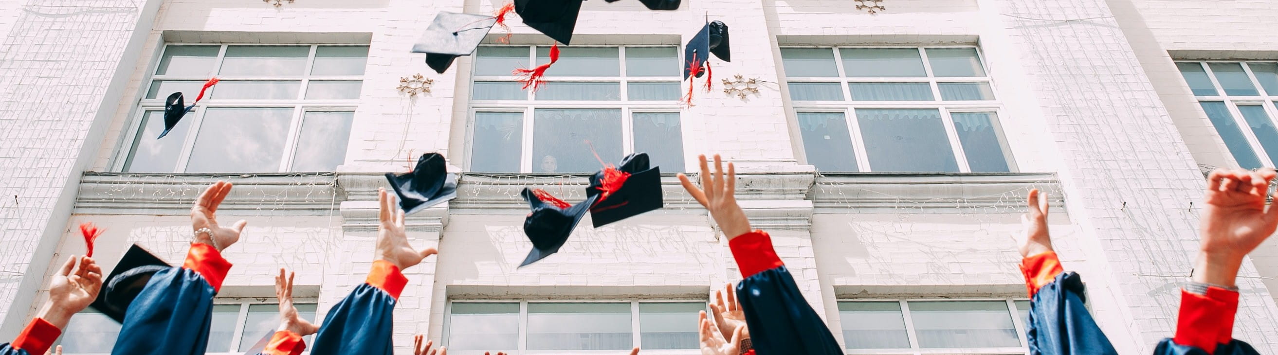 BANNER IMAGE - Vasily Kolada via Unsplash