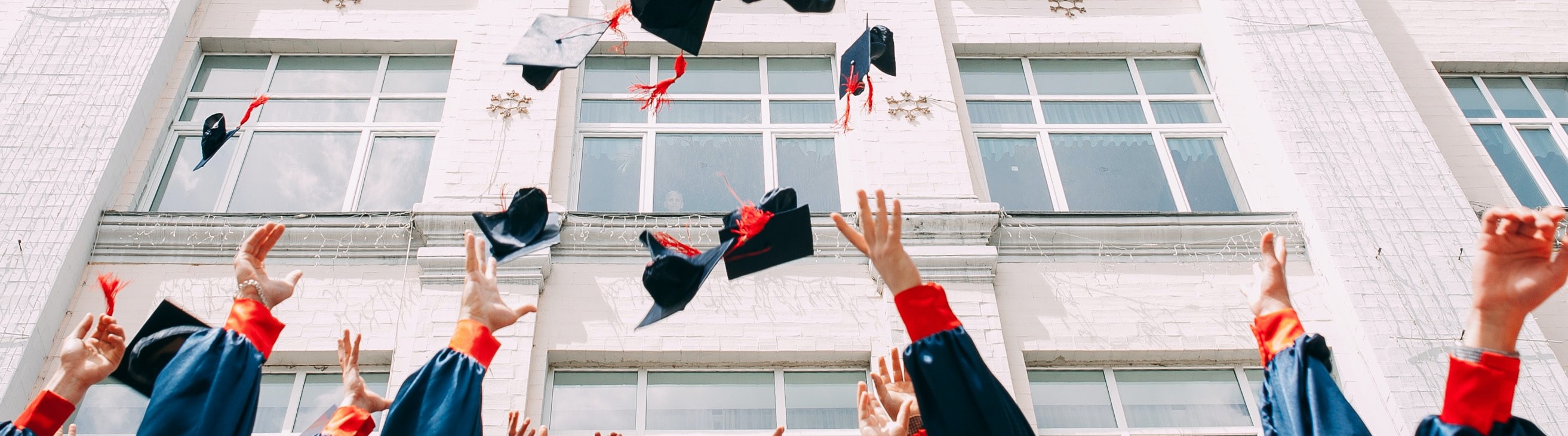 BANNER IMAGE - Vasily Kolada via Unsplash BANNER IMAGE - Vasily Kolada via Unsplash