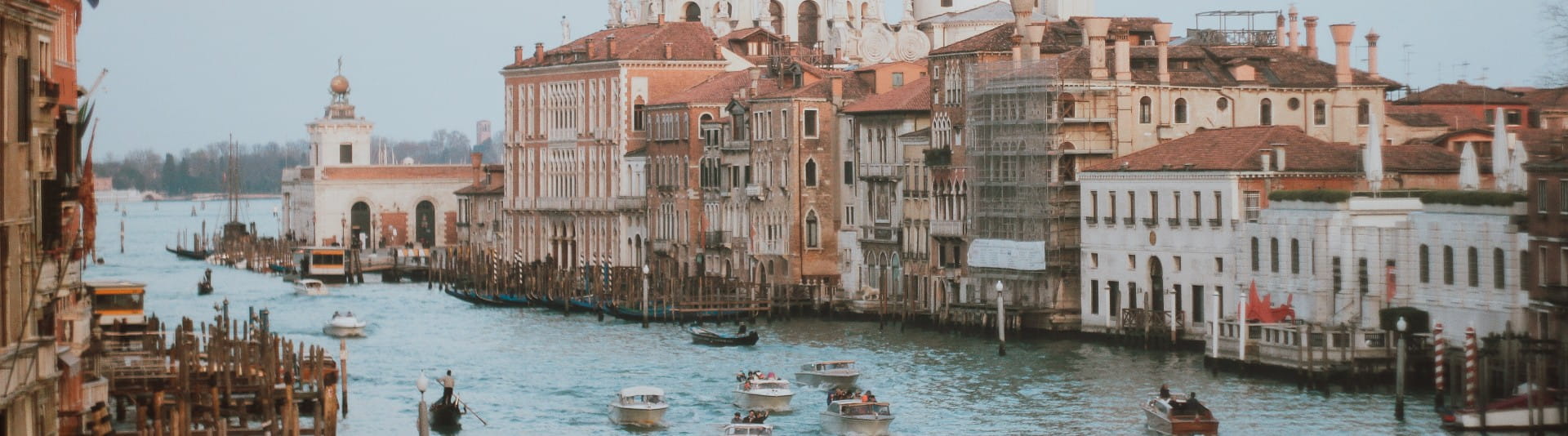 BANNER IMAGE - Venice City Center