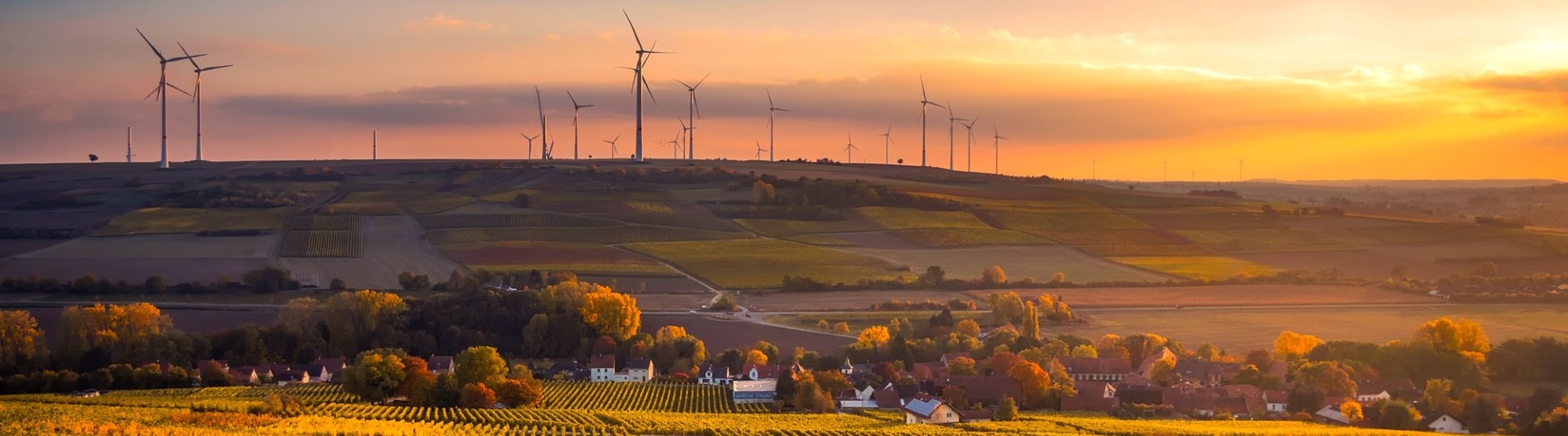 banner 11 july 2022 banner 11 july 2022