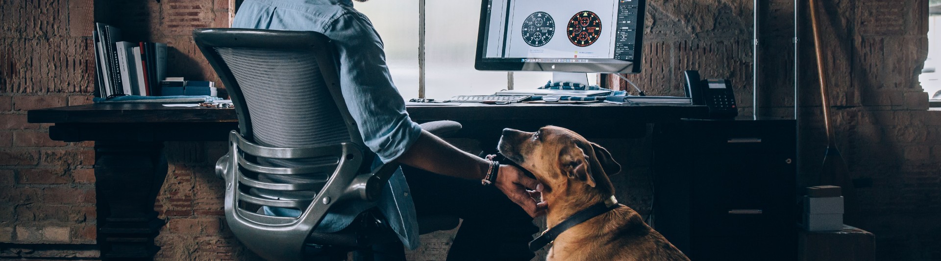 Pros and cons of having pets