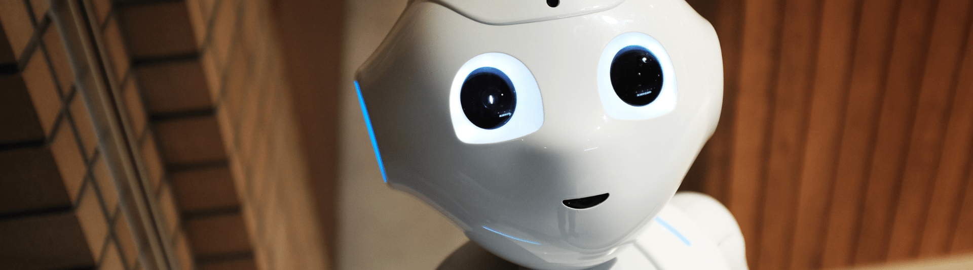 BANNER - TOP5 Nov 25