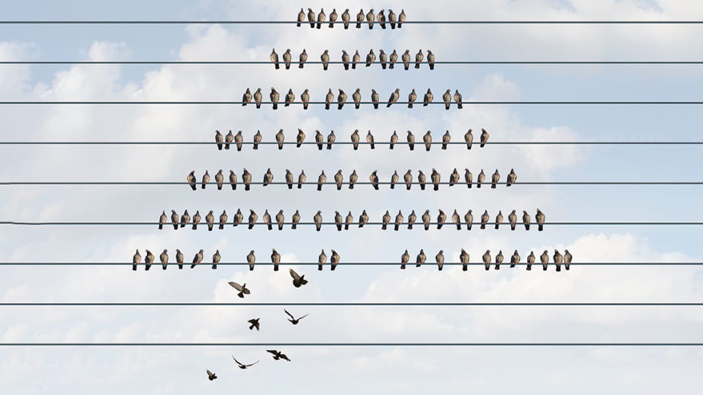 Why Competing For New Talent Is A Mistake Image 1 Why Competing For New Talent Is A Mistake Image 1