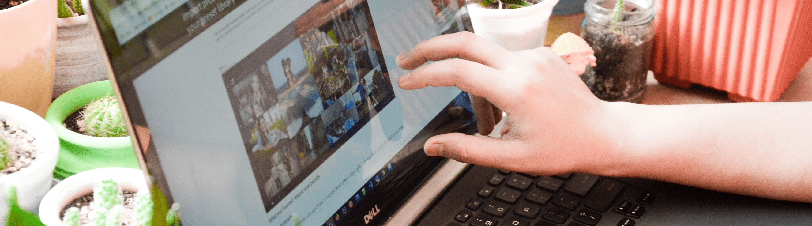 editors picks banner vol 4