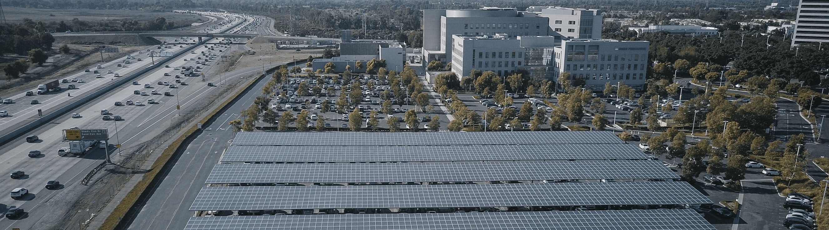 top 5 trends vol 4 header banner (1)