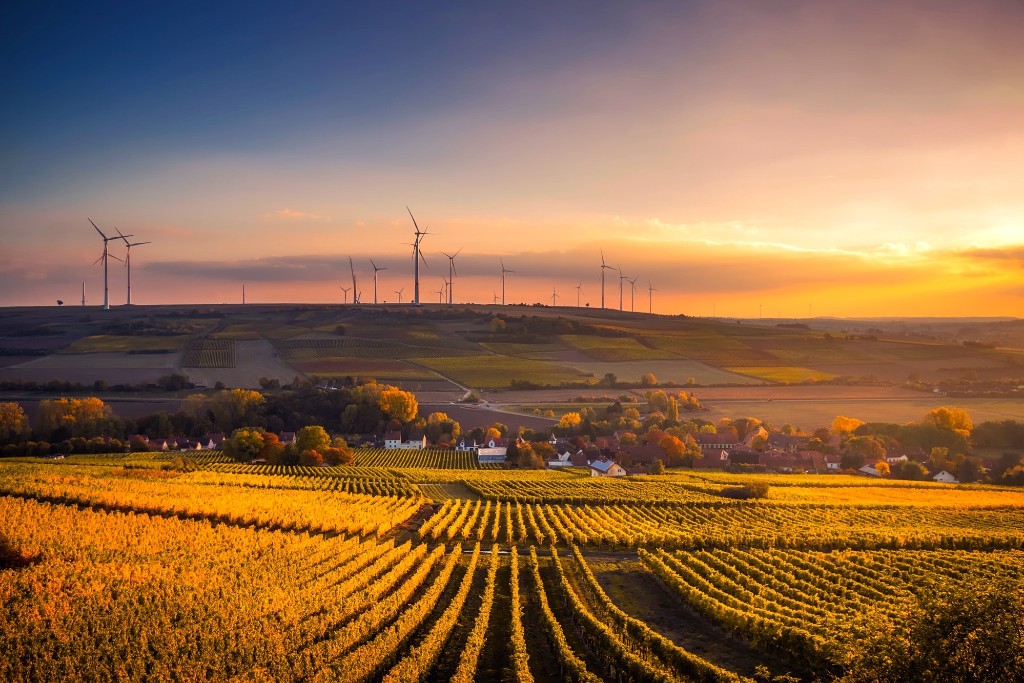 5 Key Learnings from the OECD 2022 Ministerial Council Meeting