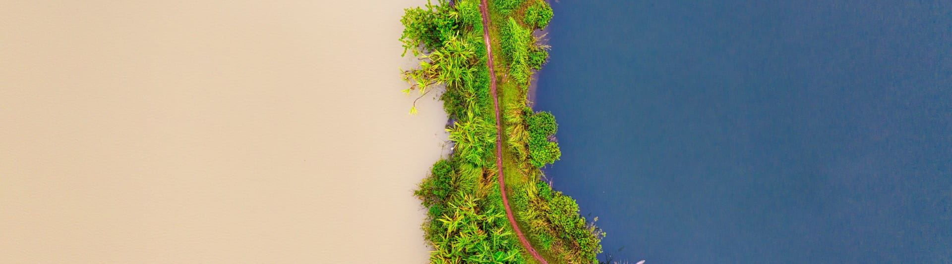 How to Make The Green Transition Work for Every Worker