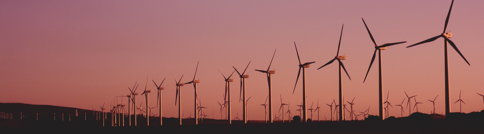 BANNER - Trends Defining the Green Transition and the Green Economy BANNER - Trends Defining the Green Transition and the Green Economy