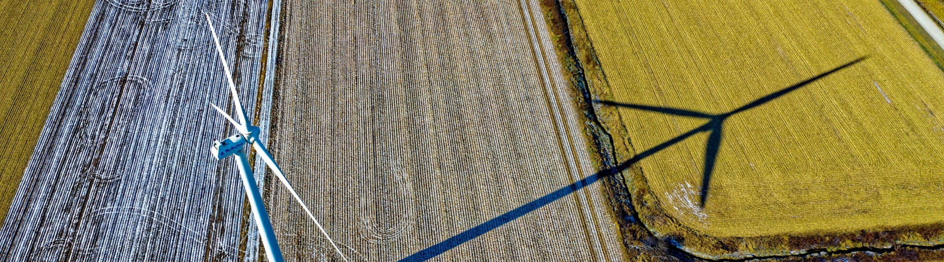 BANNER - Global executives suspect their own companies of greenwashing