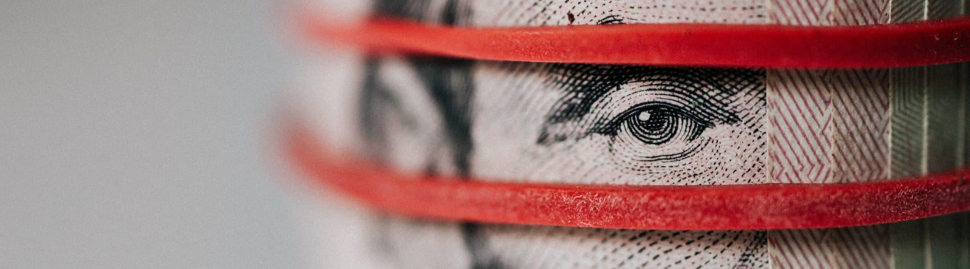 BANNER - the Wage Inflation Antidote