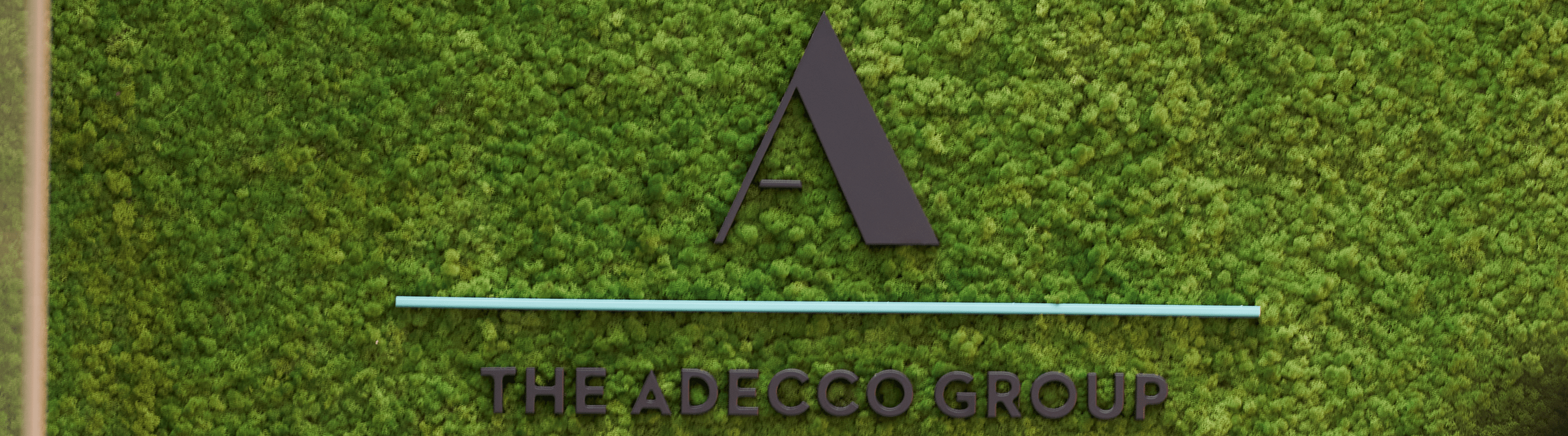 Car Factory Engineer in High Visibility Vest Using Laptop Computer