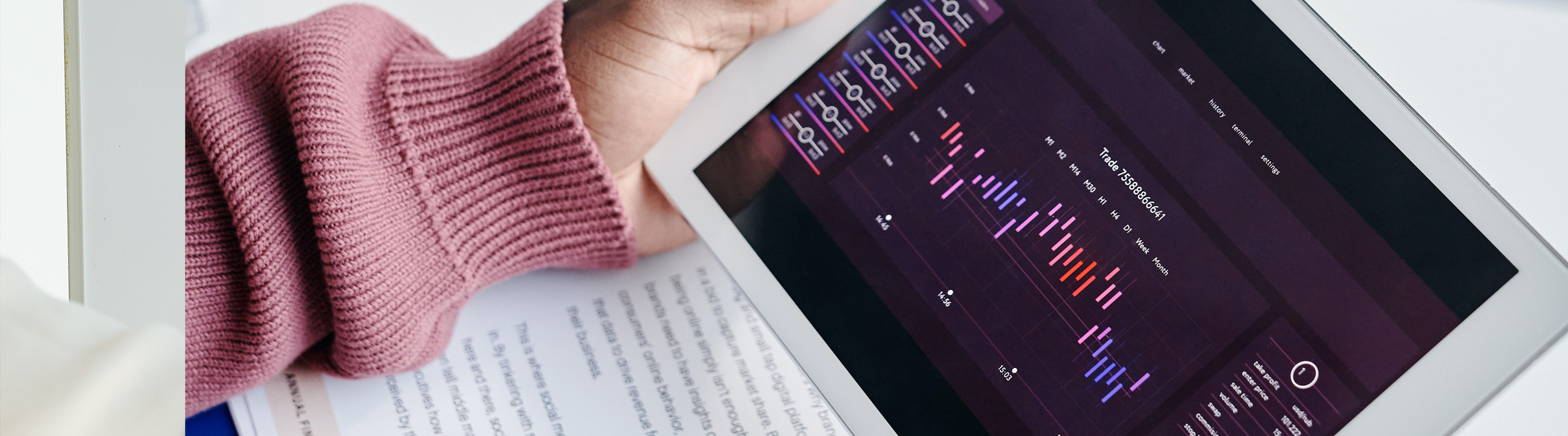 Reports Thin Banner Reports Thin Banner