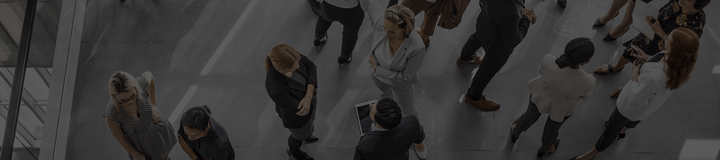 Empresas-Consultoria-Contacta