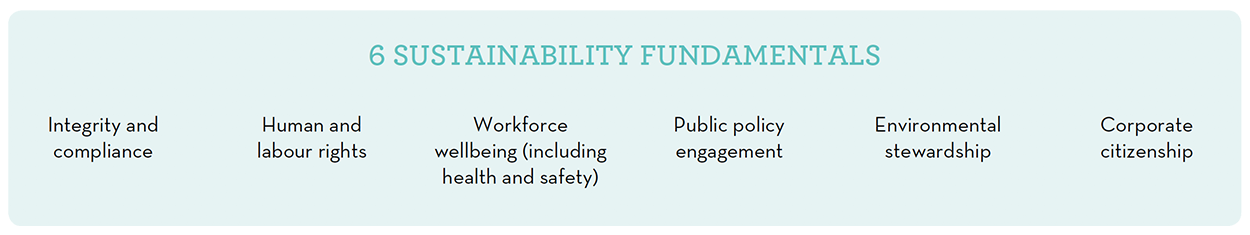 6_Sustainability_Fundamentals_1250x235 6_Sustainability_Fundamentals_1250x235